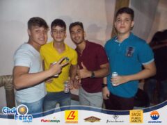 Garota Vip